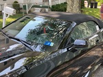 General Appearance with Glass