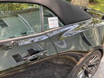 General Appearance with Paint