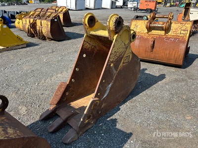 Cat 24 in Digging Excavator Bucket