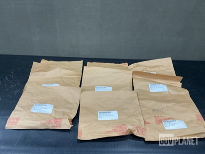 (100) Koehring Cranes 207372 Extension Helical Springs