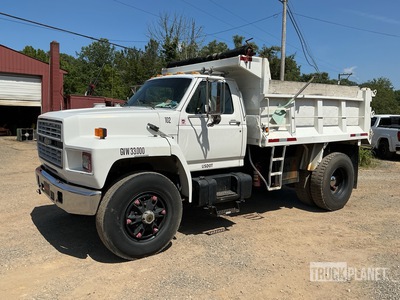 1990 Ford F-800 4x2 S/A Camión dumper