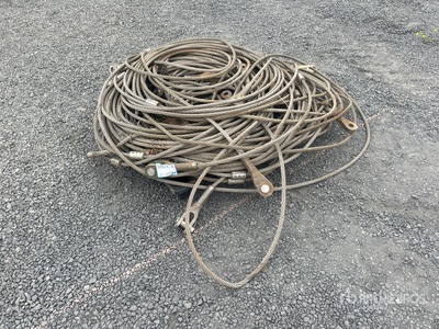 Quantity of Cavo