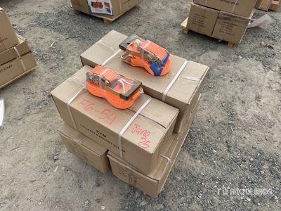 2025 SKLP SK003 2 in x 27 ft Ratchet Straps Articoli da ferramenta e di consumo (Unused)