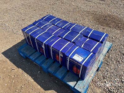 Quantity of (12) 2025 BYT ABTJK20 20 Ton Air/Hydraulic Bottle Jacks (Unused)