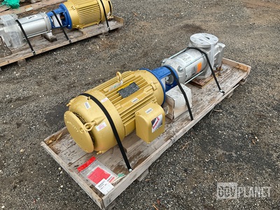 Goulds 66SV42NP4C60 Vertical Multistage Pump