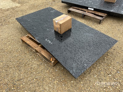 TMG FS10 10 ton Floor Báscula (Unused)