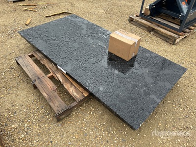 TMG FS10 10 ton Floor Báscula (Unused)