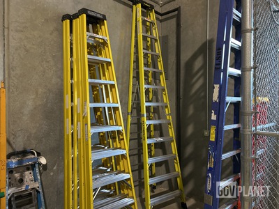 12' Green Bull Ladder