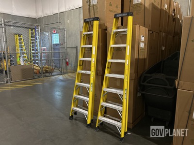 (2) 8' Green Bull Ladders