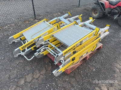 Quantity of Branach Platform Ladder