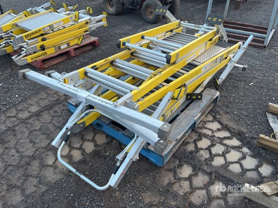 Quantity of Branach Platform Ladder