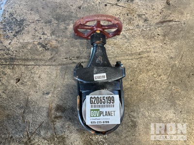 Crane 4" Iron Clamp Gate Valve