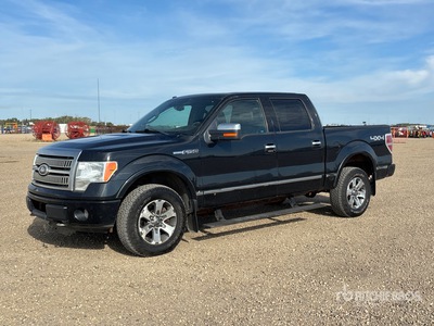 2010 Ford F-150 Platinum 4x4 Crew Cab Pickup