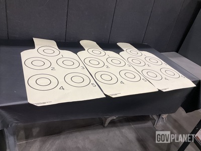 (24) Boxes of Silhouette Targets