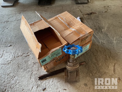 (4) TY 1 Class 125 Size 2 Gate Valves