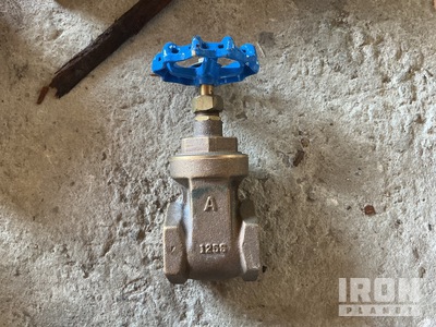 (4) TY 1 Class 125 Size 2 Gate Valves