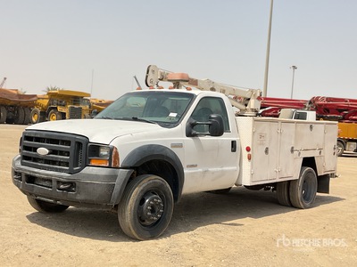 2006 Ford F550XL SUPER DUTY 4x2 Camion de servicios