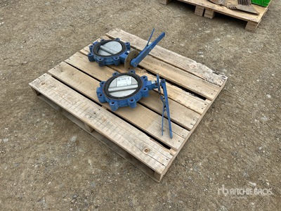 Quantity of (2) 8 Inch Stainless Steel Valves