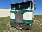 General Appearance with Paint