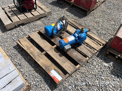 Quantity of (2) Goulds Electric Water Pump