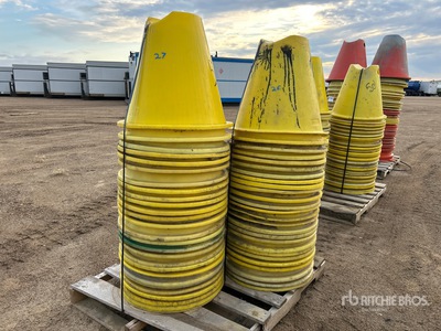 Quantity of (50) 8 in Pipe Cones