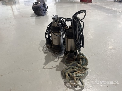 Quantity of (2) Electric Submersible Water Pump