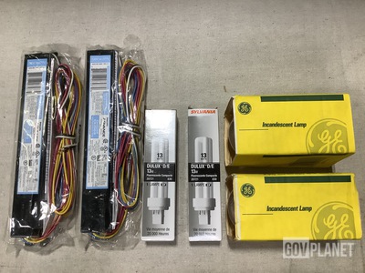 (20) Electronic Ballasts & (328) Assorted Lamps