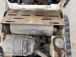 Engine with Exhaust System