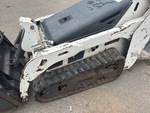 General Appearance with Paint