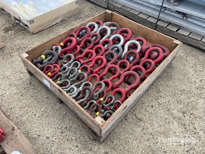 Quantity of Crosby Shackle