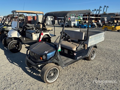 2016 Cushman Shuttle 6 Electric Carro de golf