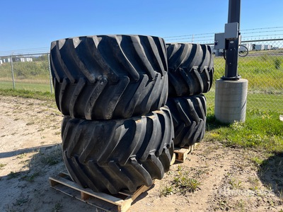 Quantity of (4) PrimeX 48-31-20 Flotation Opony