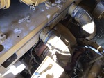 Engine with Exhaust System