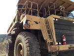 General Appearance with Paint