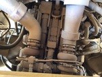 Engine with Exhaust System