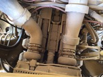 Engine with Exhaust System