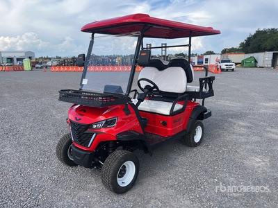 2025 LIONDI DGC800 Electric Carro de Golf (Sin Usar) / Golf Cart (Unused)