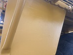 General Appearance with Paint