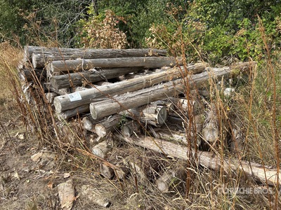 Quantity of Qty of (50) Cedar Posts