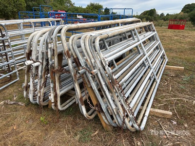 Quantity of (18) 12 ft x 4 ft Steel Livestock Gate