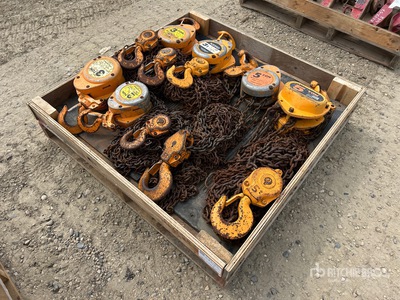 Quantity of Chain Montacargas de construcción
