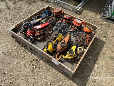Quantity of Come alongs and chain hoists