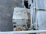 General Appearance with Pintura
