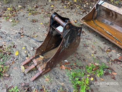 Cat 13 in Digging Excavator Bucket