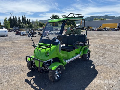 2024 Electric Golf Cart