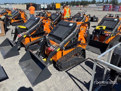 2025 ARTEER QB-480 Mini Oruga cargadora compacta (Unused)