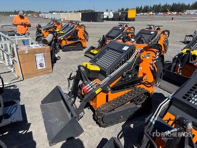 2025 ARTEER QB-480 Mini Oruga cargadora compacta (Unused)