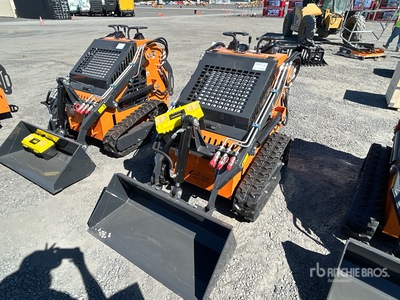 2025 ARTEER QB-480 Mini Oruga cargadora compacta (Unused)
