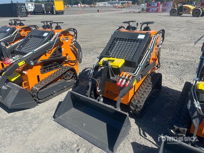 2025 ARTEER QB-480 Mini Oruga cargadora compacta (Unused)