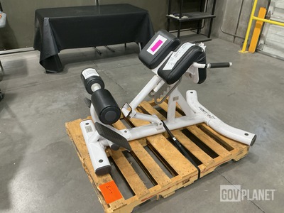 Life Fitness SBE-H101-102 Back Extension Machine